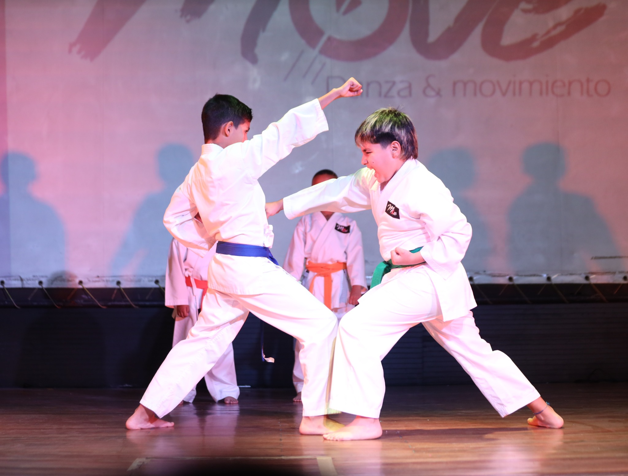 Academia de karate Medellín